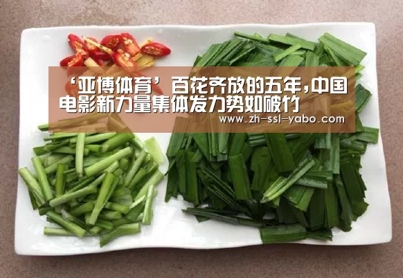 ‘亚博体育’百花齐放的五年,中国电影新力量集体发力势如破竹(图4) 亚博体育